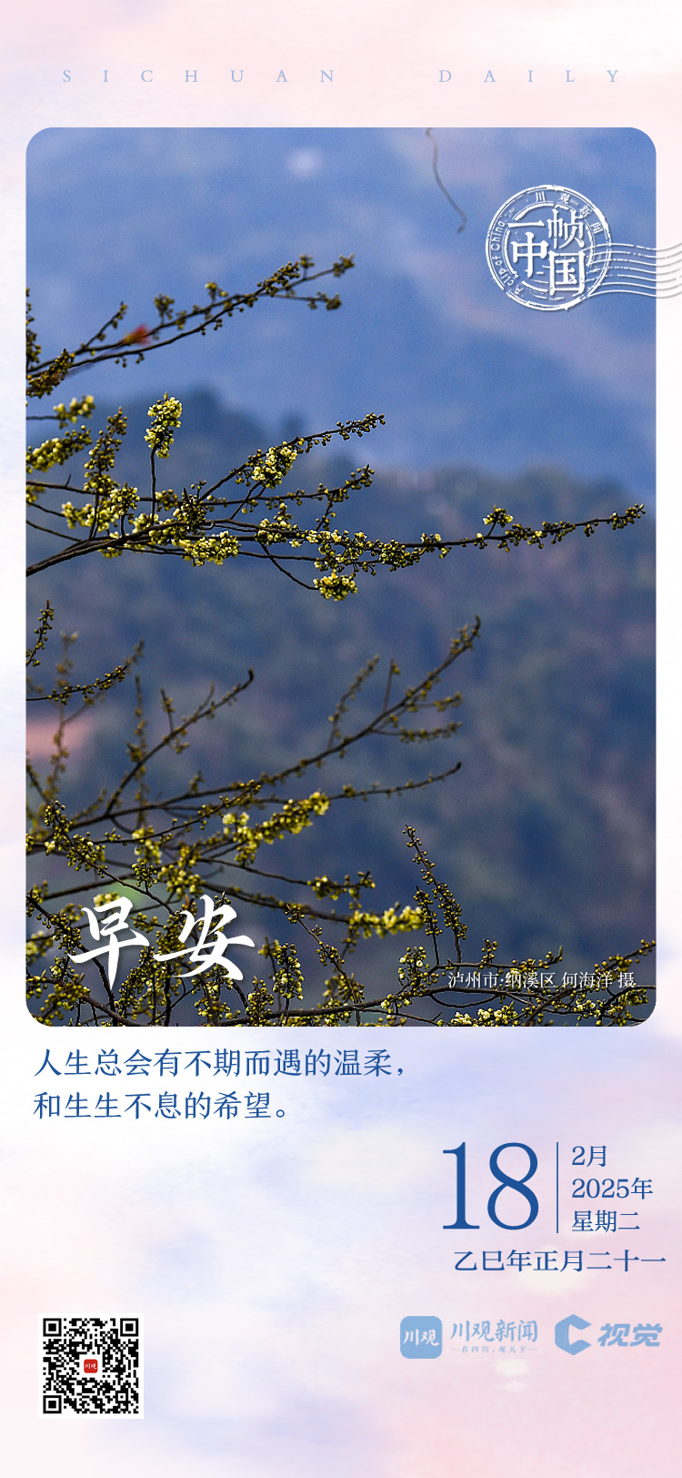 饭圈文化最